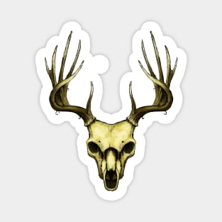 Stag Skull Sticker